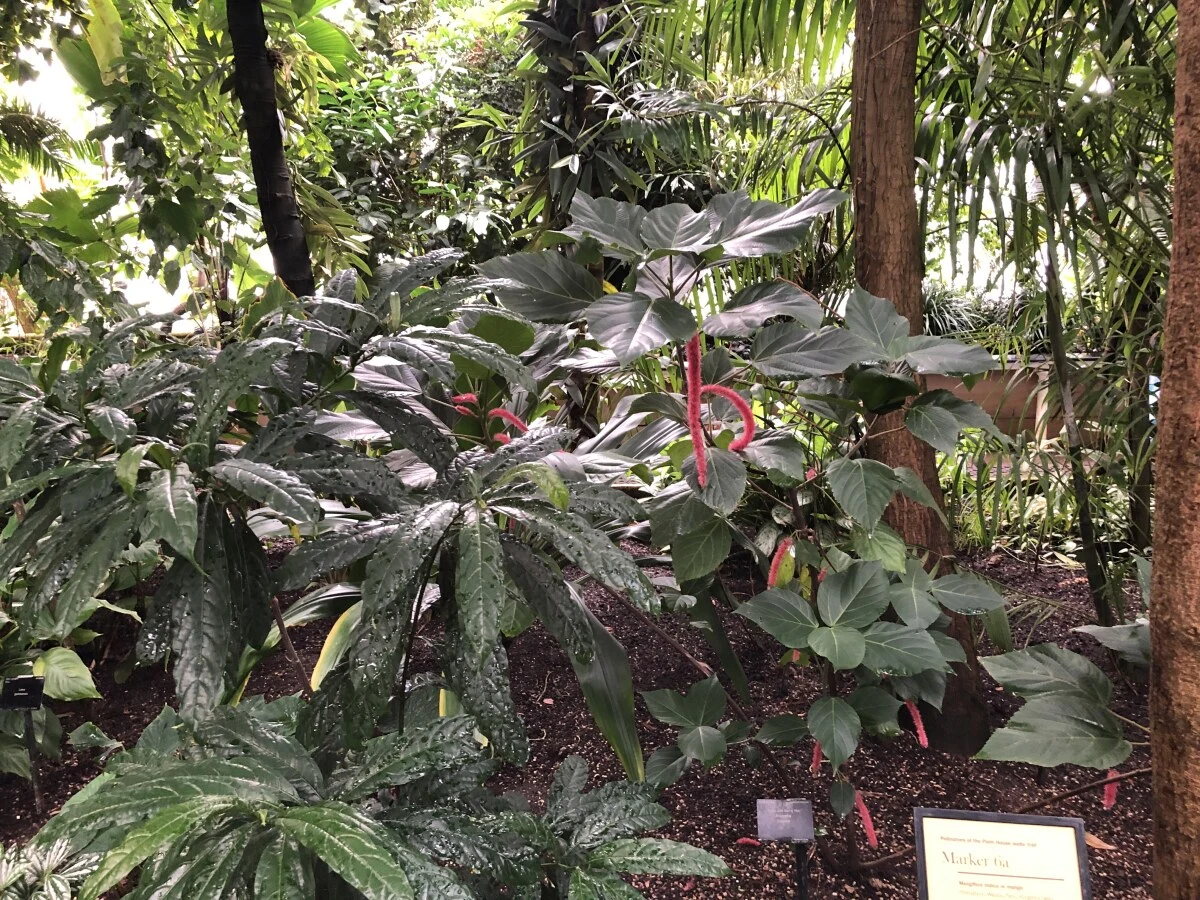 2025-London-Londen-伦敦